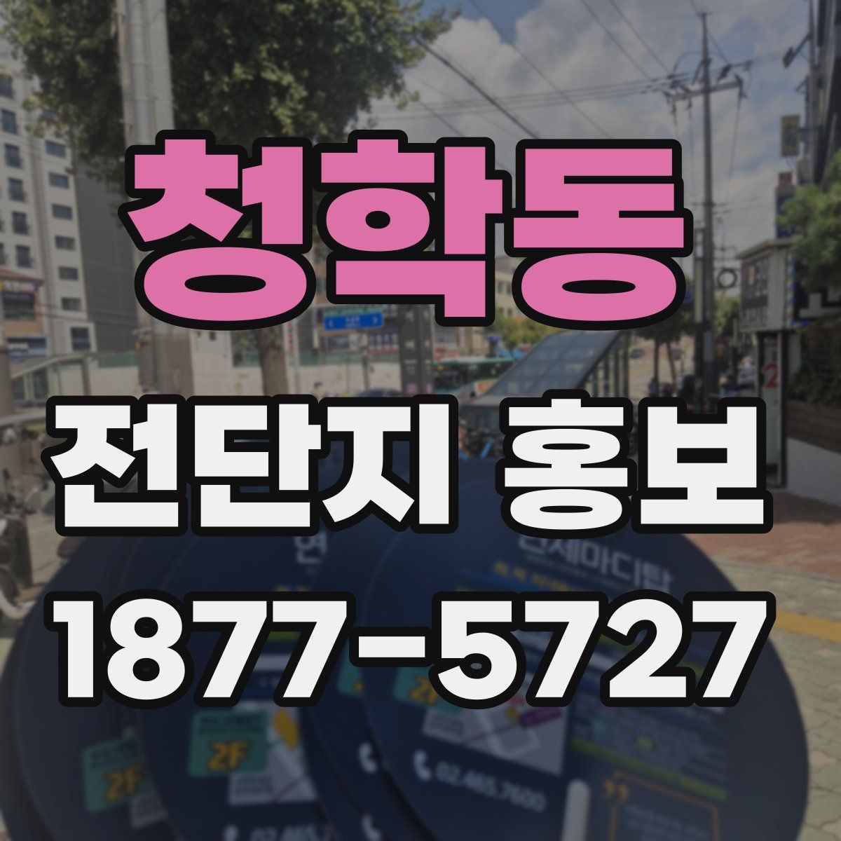 청학동 전단지 홍보