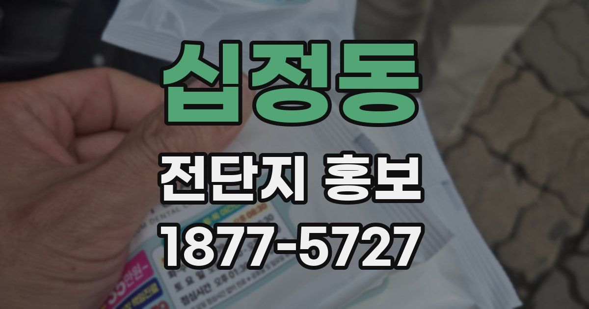 십정동 전단지 홍보