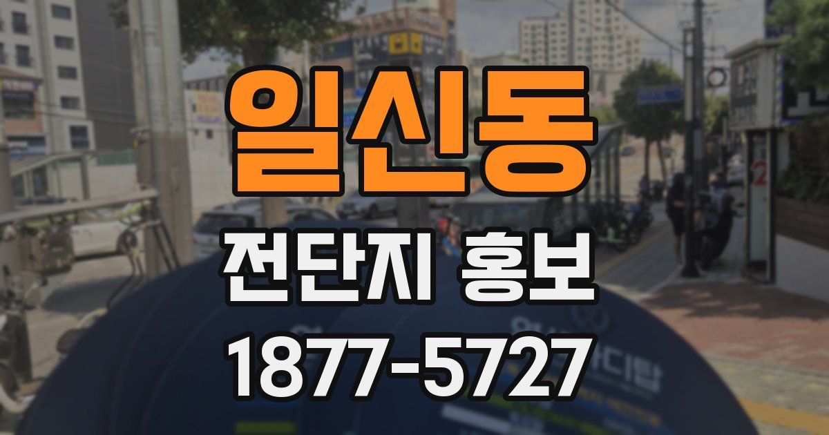 일신동 전단지 홍보