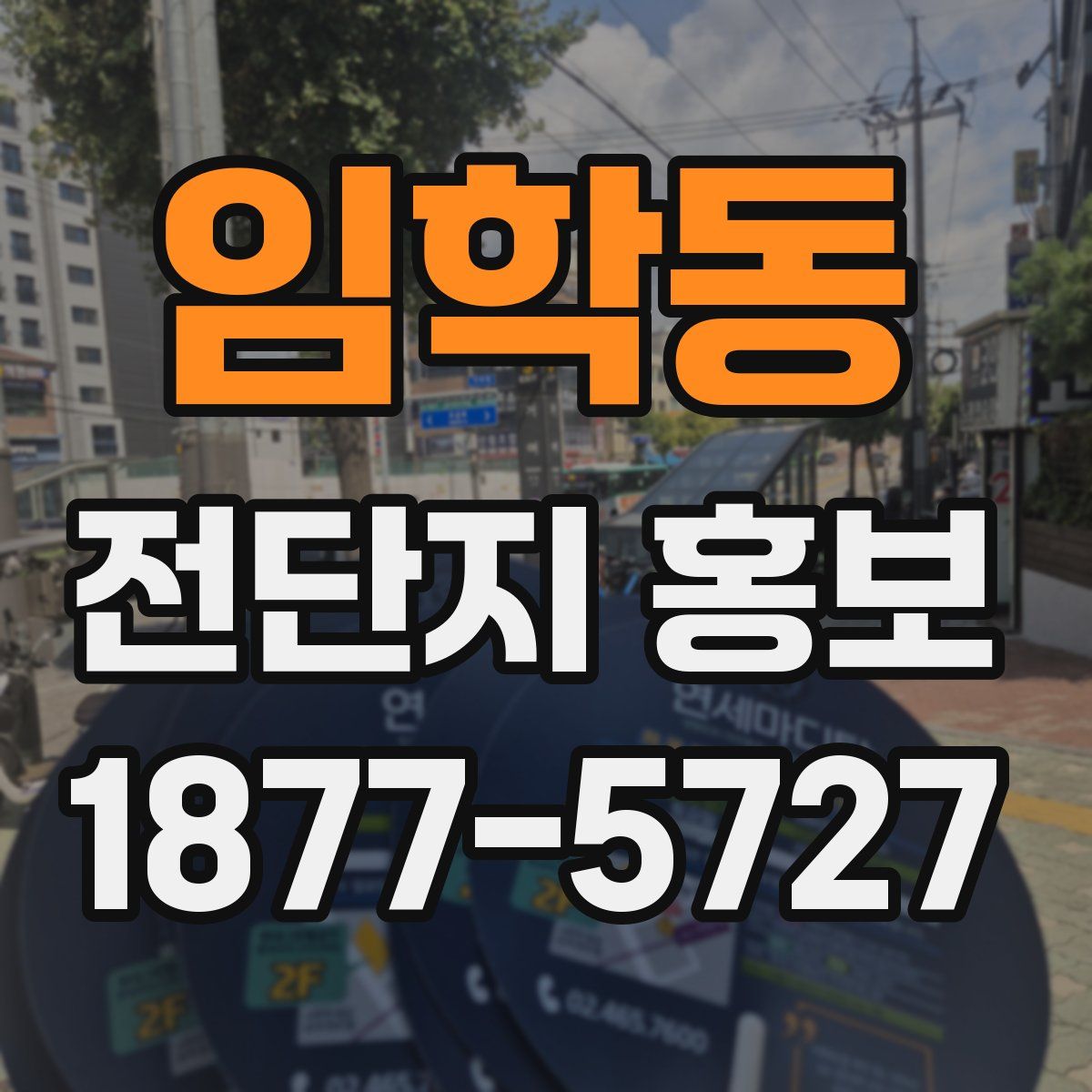 임학동 전단지 홍보