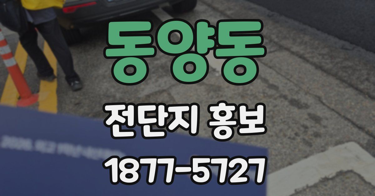 동양동 전단지 홍보