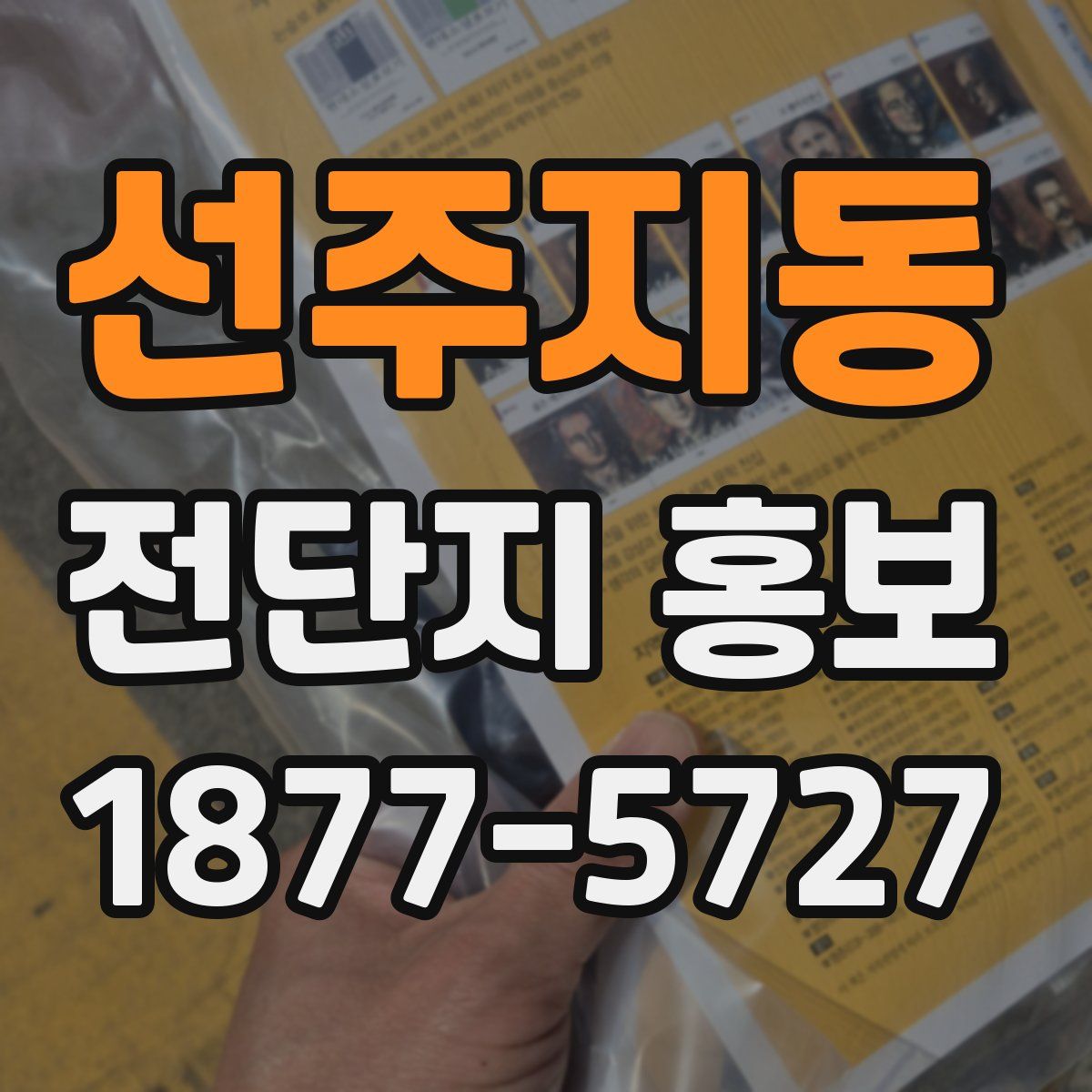 선주지동 전단지 홍보