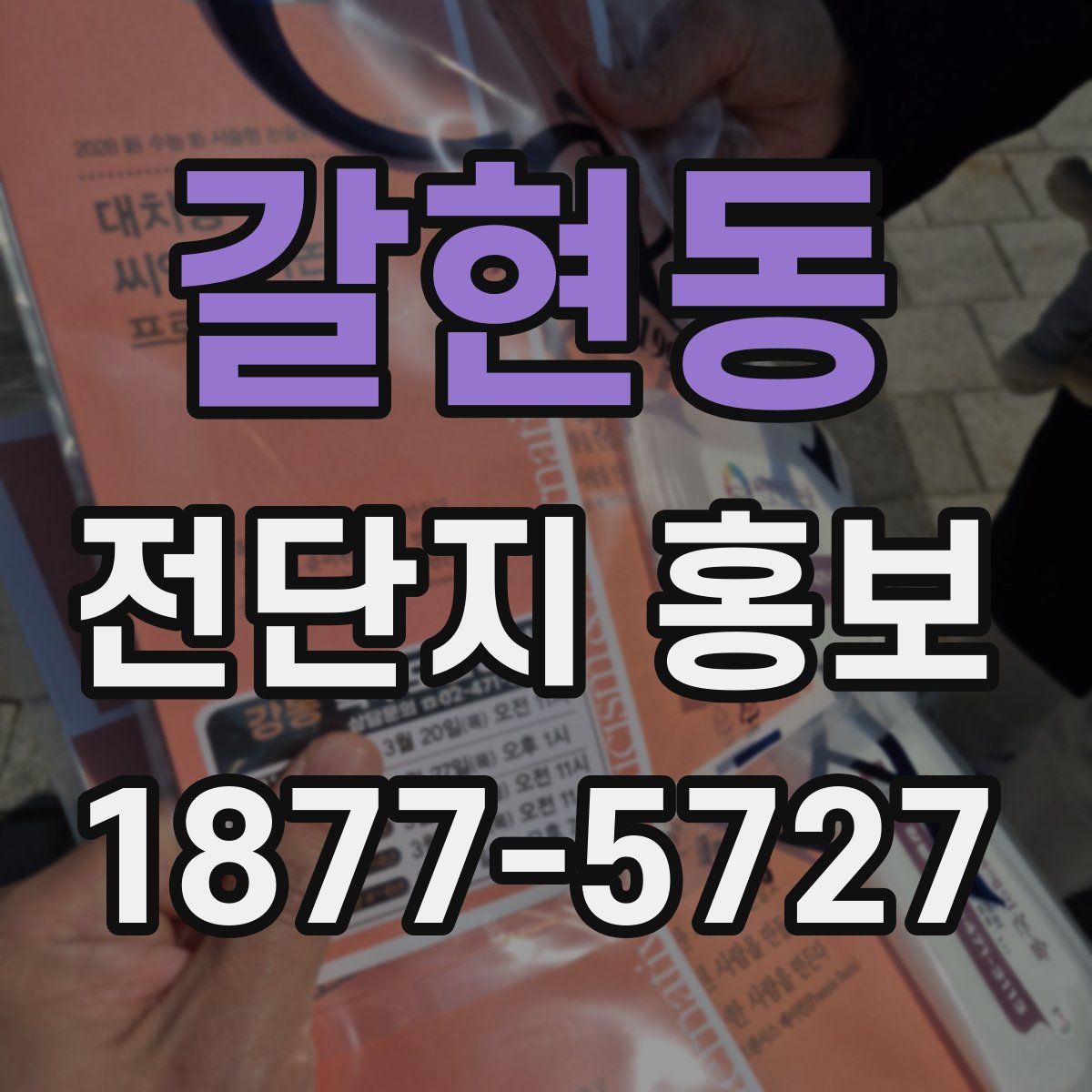 갈현동 전단지 홍보