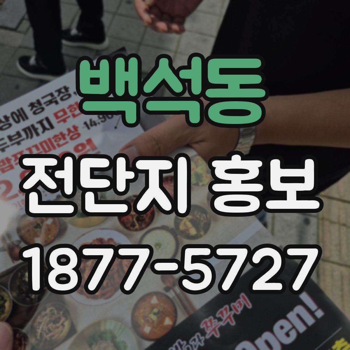 백석동 전단지 홍보