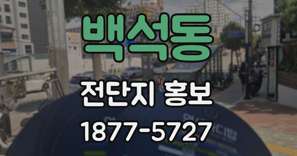 백석동 전단지 홍보