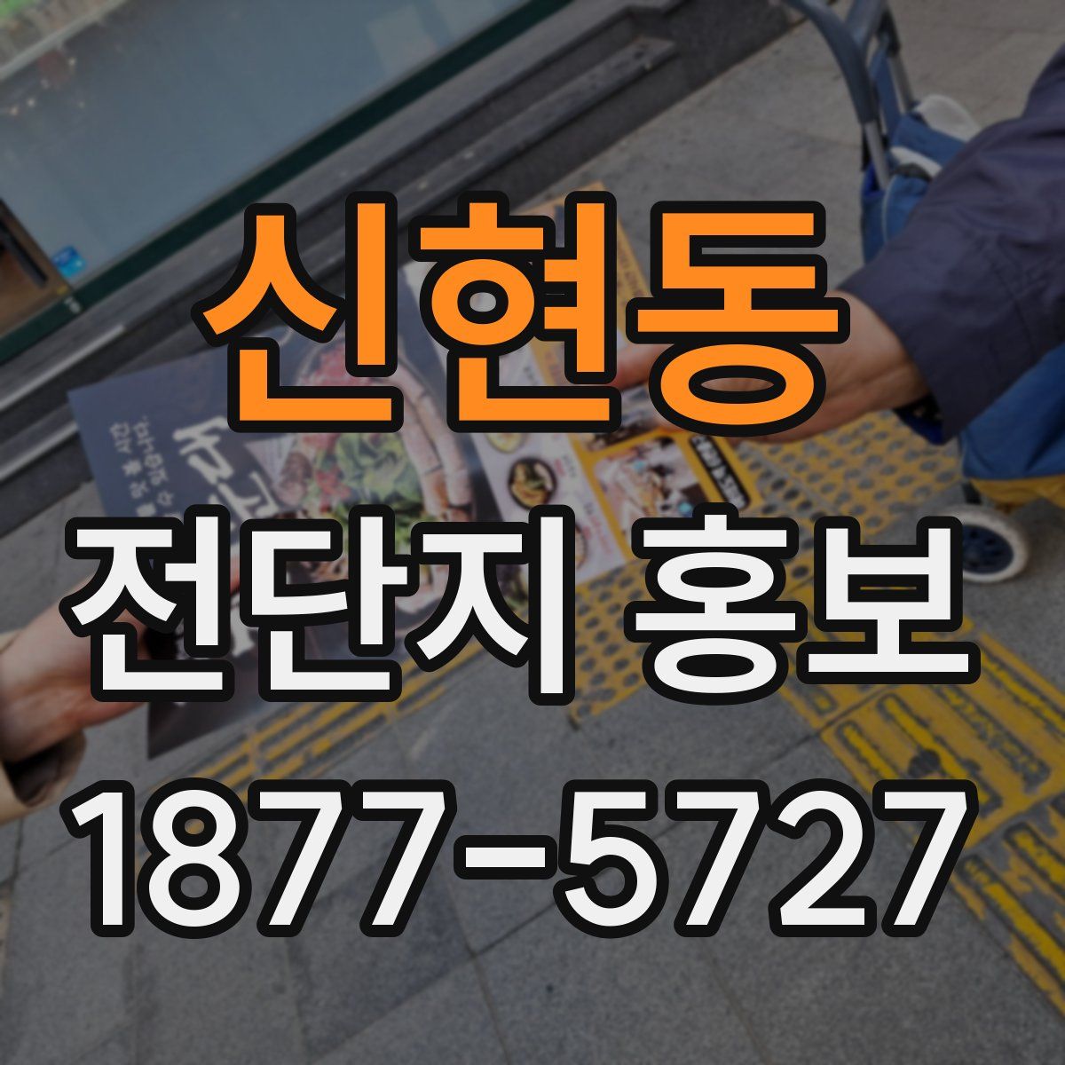 신현동 전단지 홍보