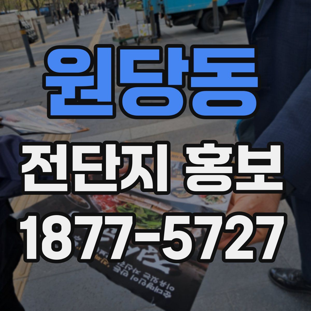 원당동 전단지 홍보