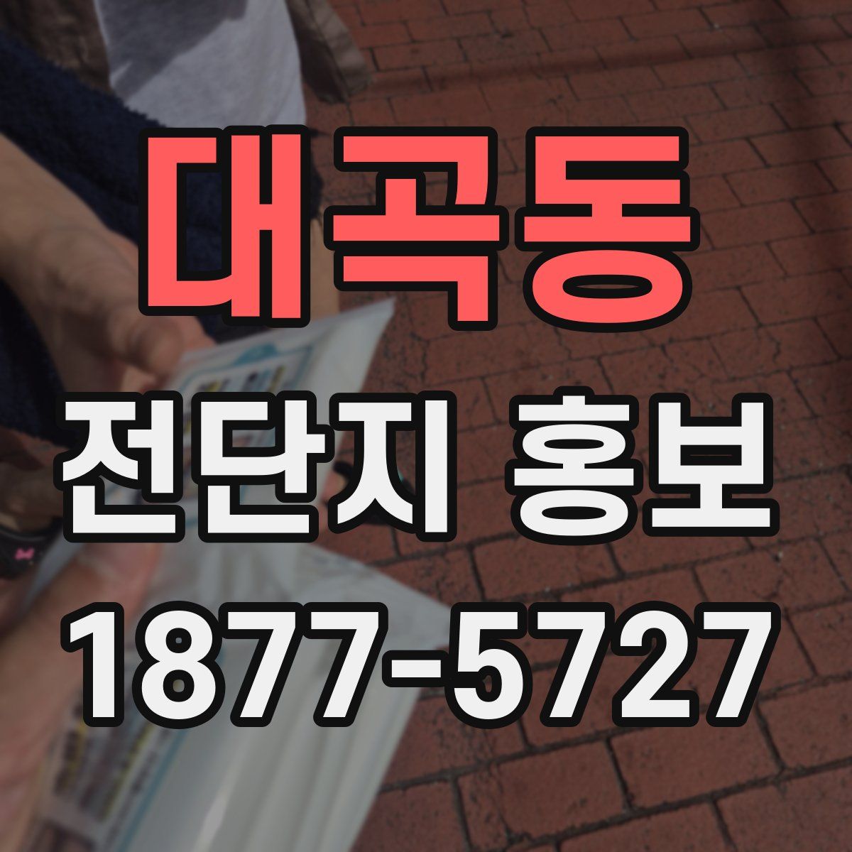 대곡동 전단지 홍보