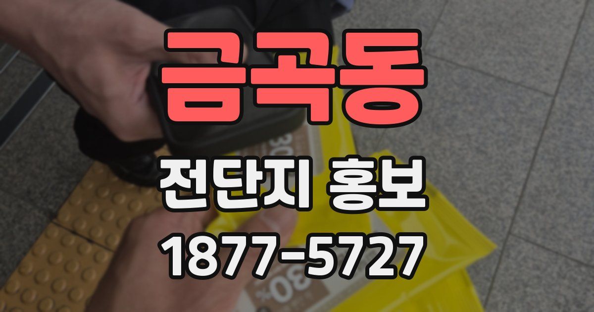 금곡동 전단지 홍보