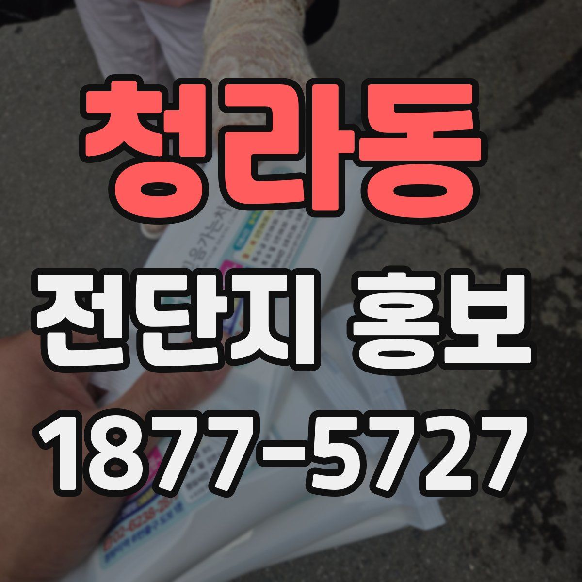 청라동 전단지 홍보