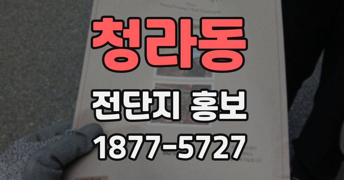 청라동 전단지 홍보