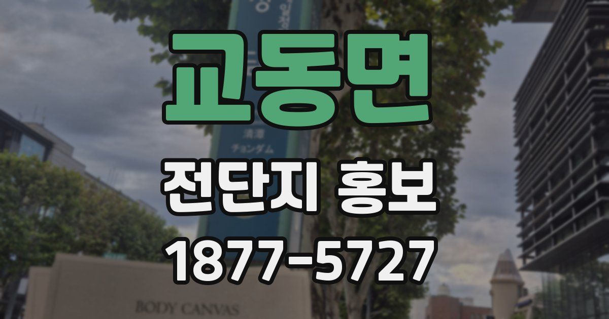 교동면 전단지 홍보