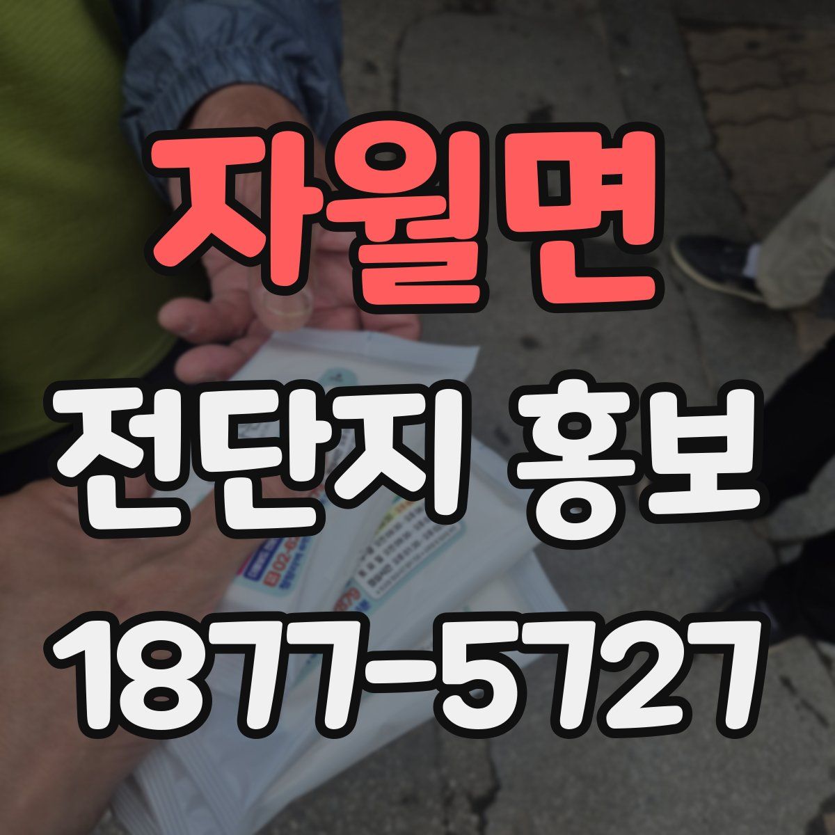자월면 전단지 홍보