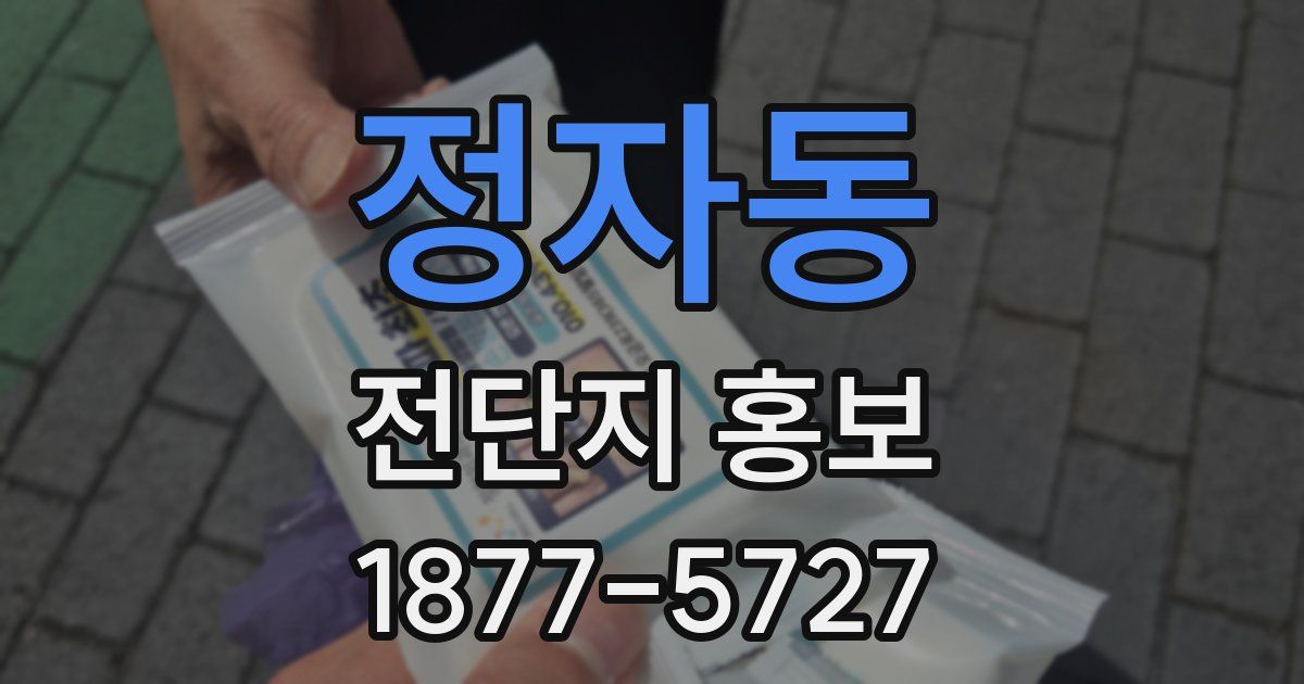 정자동 전단지 홍보