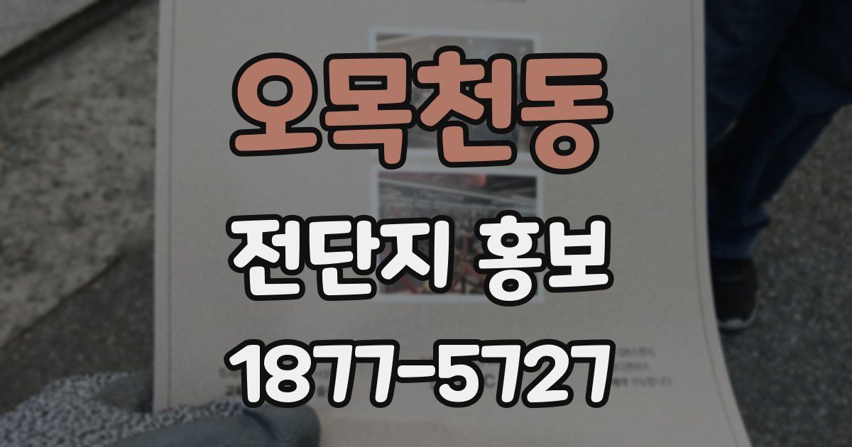 오목천동 전단지 홍보