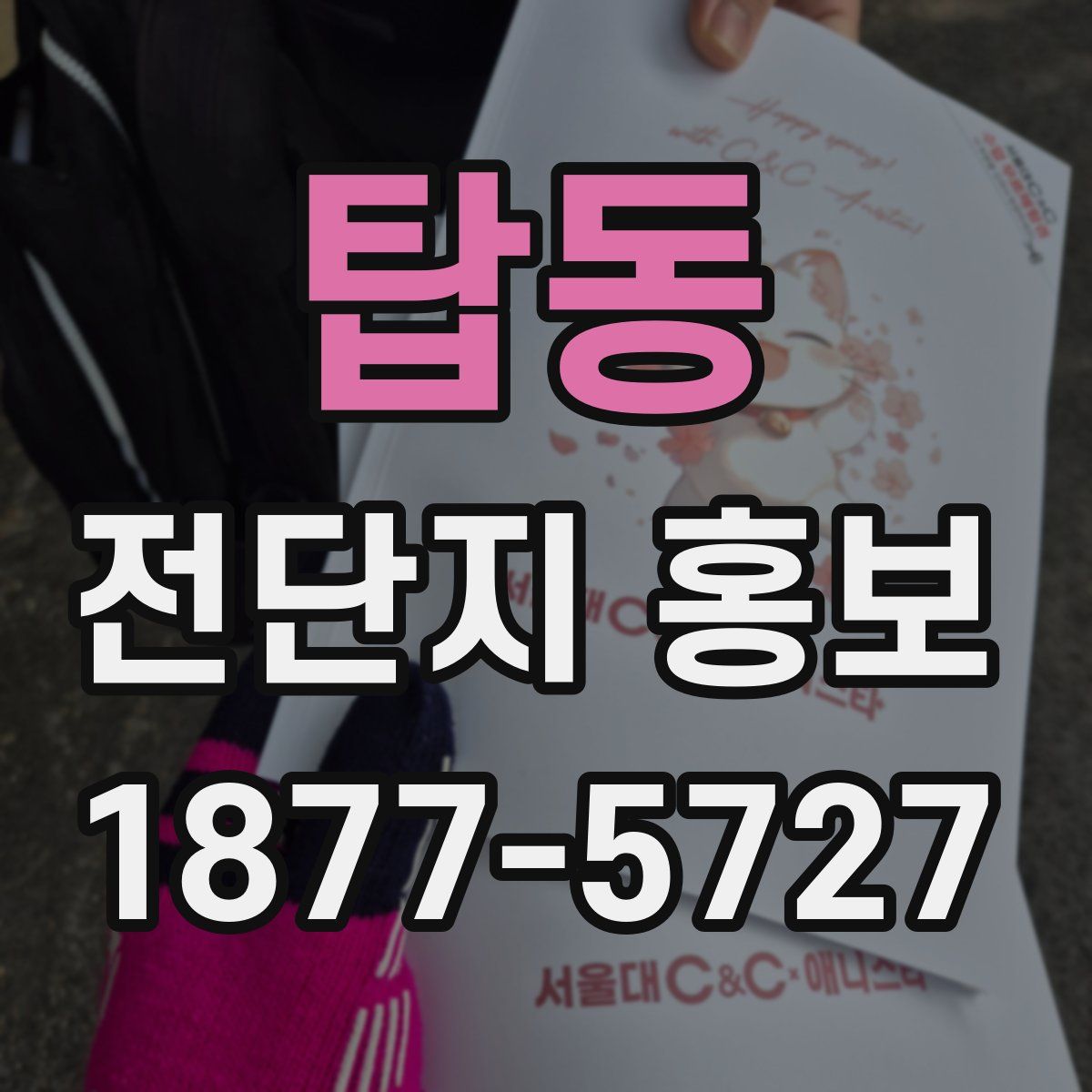 탑동 전단지 홍보