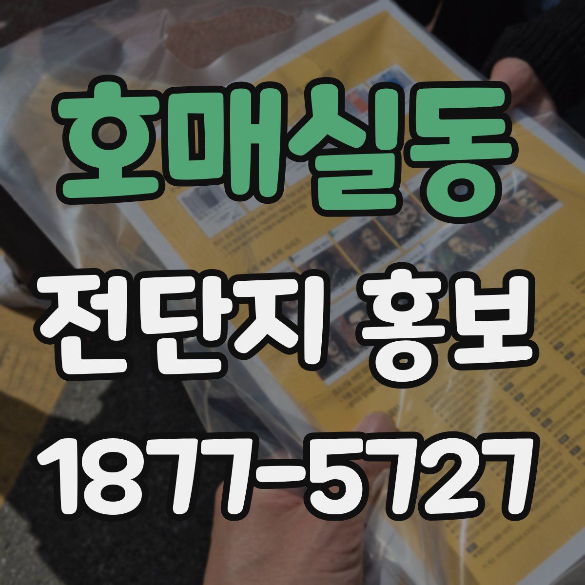 호매실동 전단지 홍보