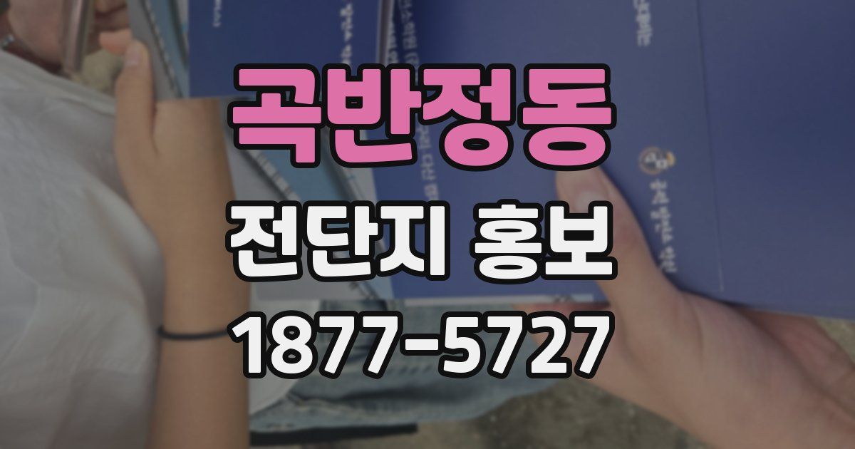 곡반정동 전단지 홍보