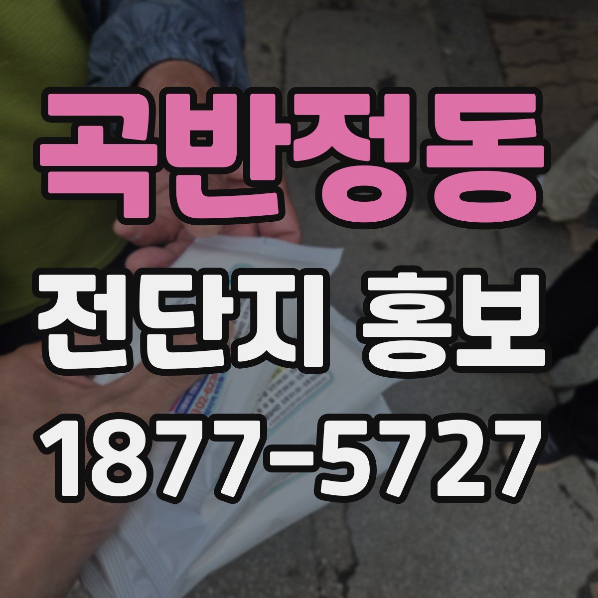 곡반정동 전단지 홍보