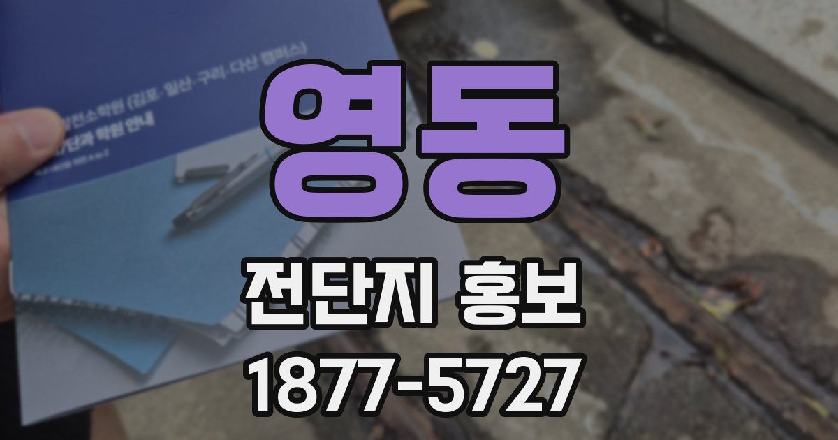 영동 전단지 홍보