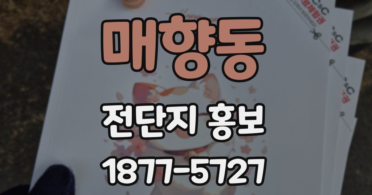 매향동 전단지 홍보