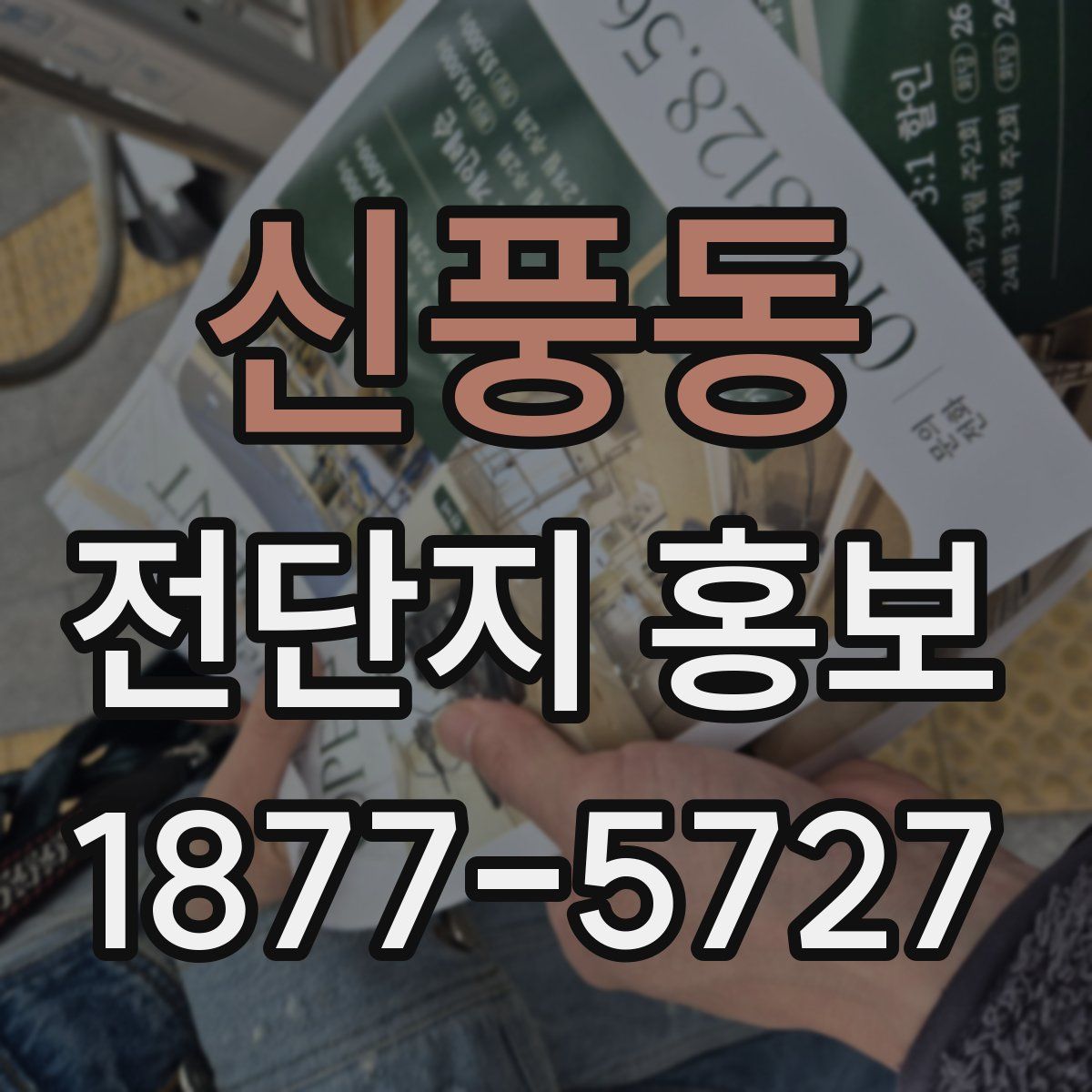 신풍동 전단지 홍보