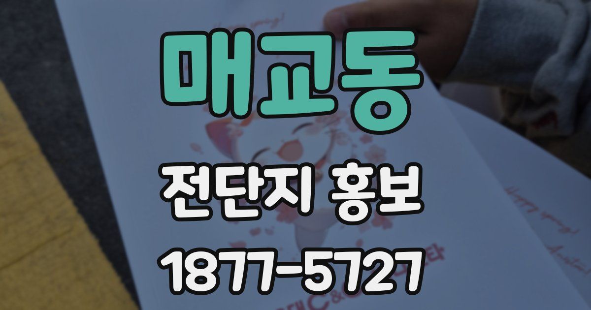 매교동 전단지 홍보