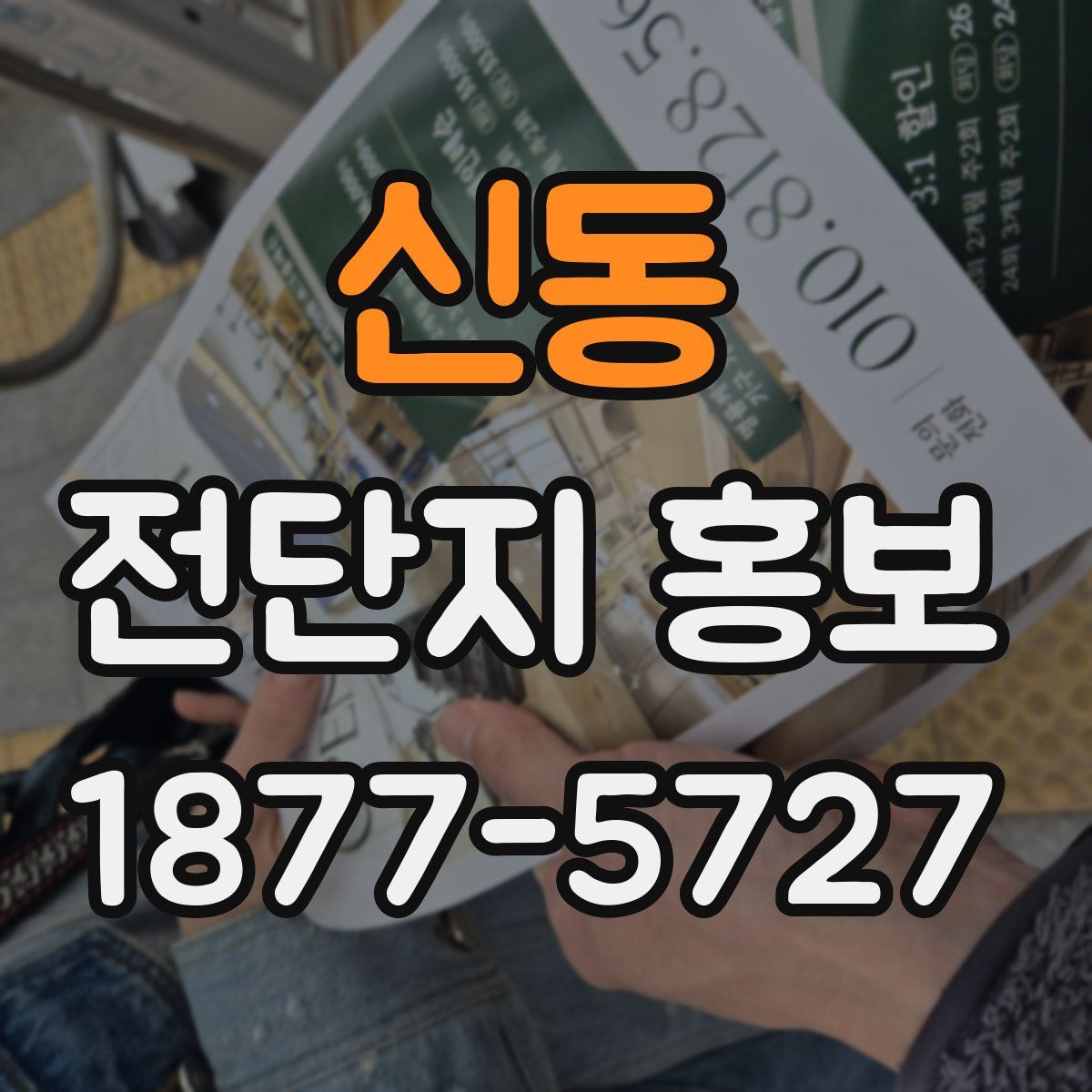 신동 전단지 홍보