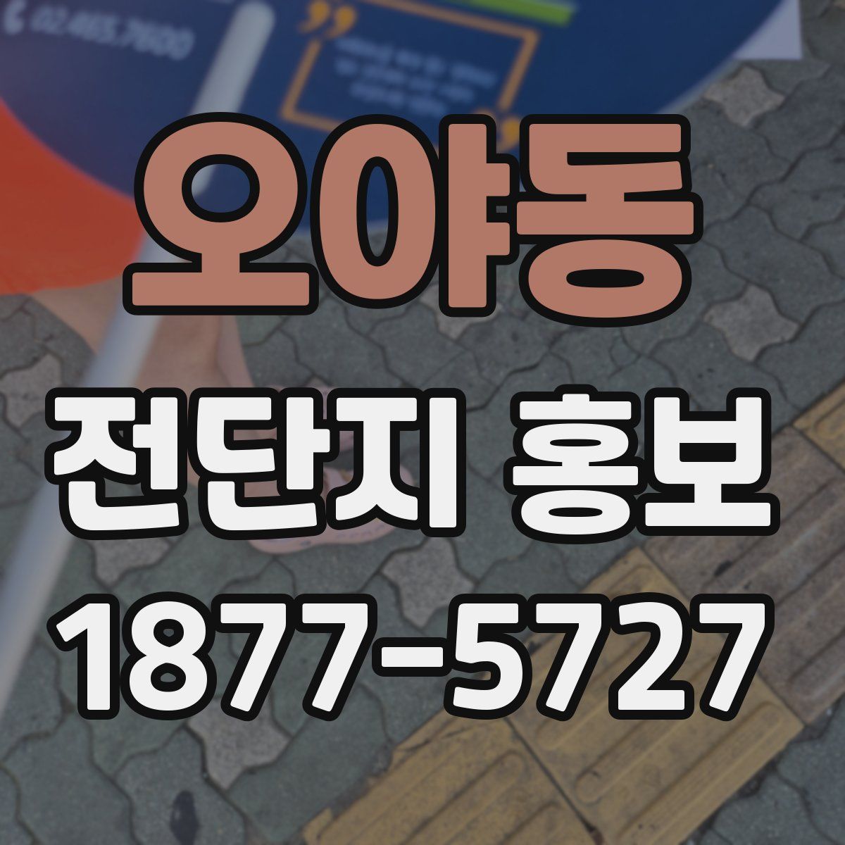 오야동 전단지 홍보