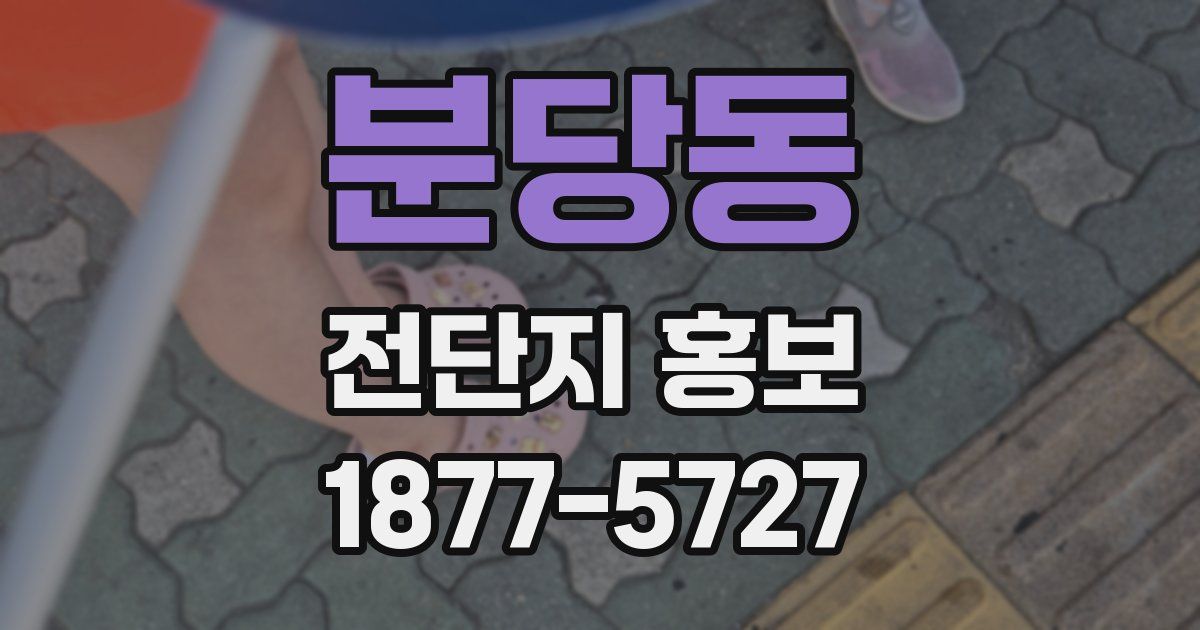 분당동 전단지 홍보