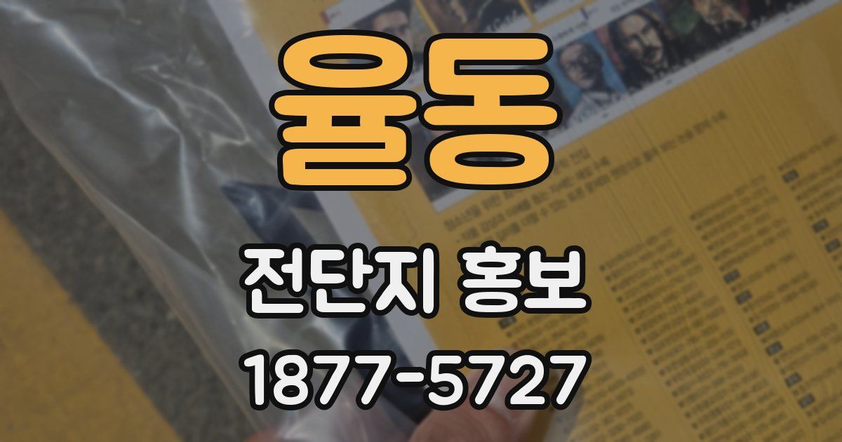 율동 전단지 홍보