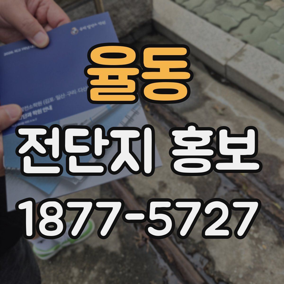 율동 전단지 홍보