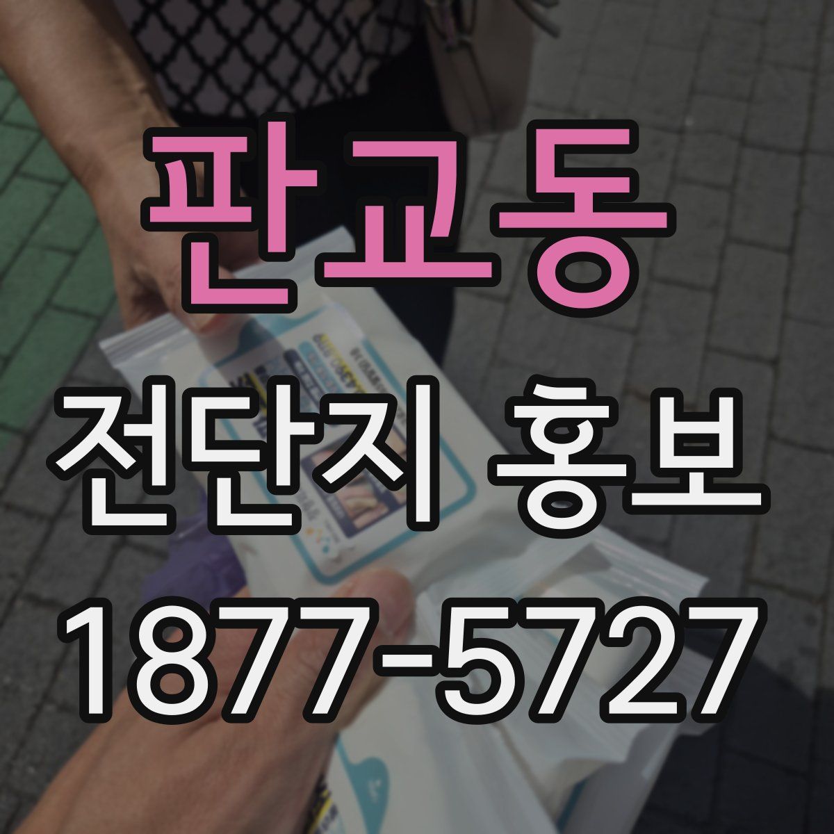 판교동 전단지 홍보