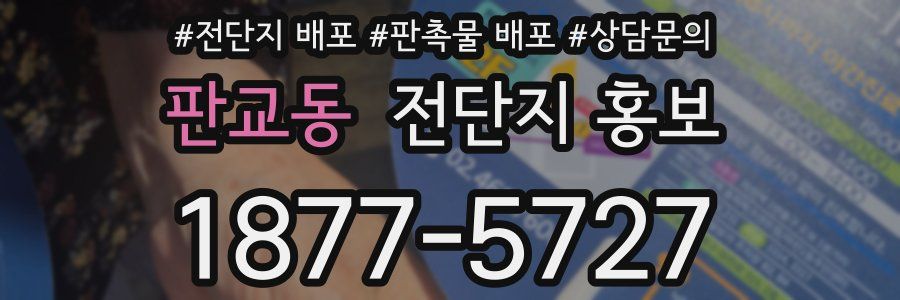 판교동 전단지 홍보