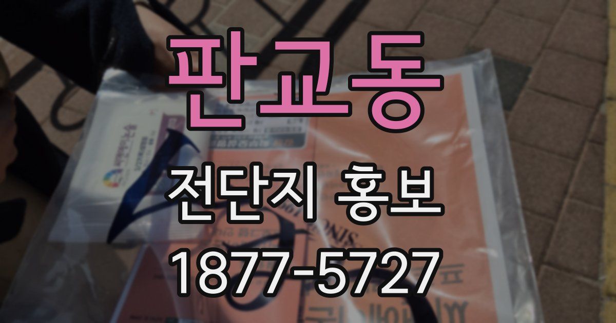 판교동 전단지 홍보