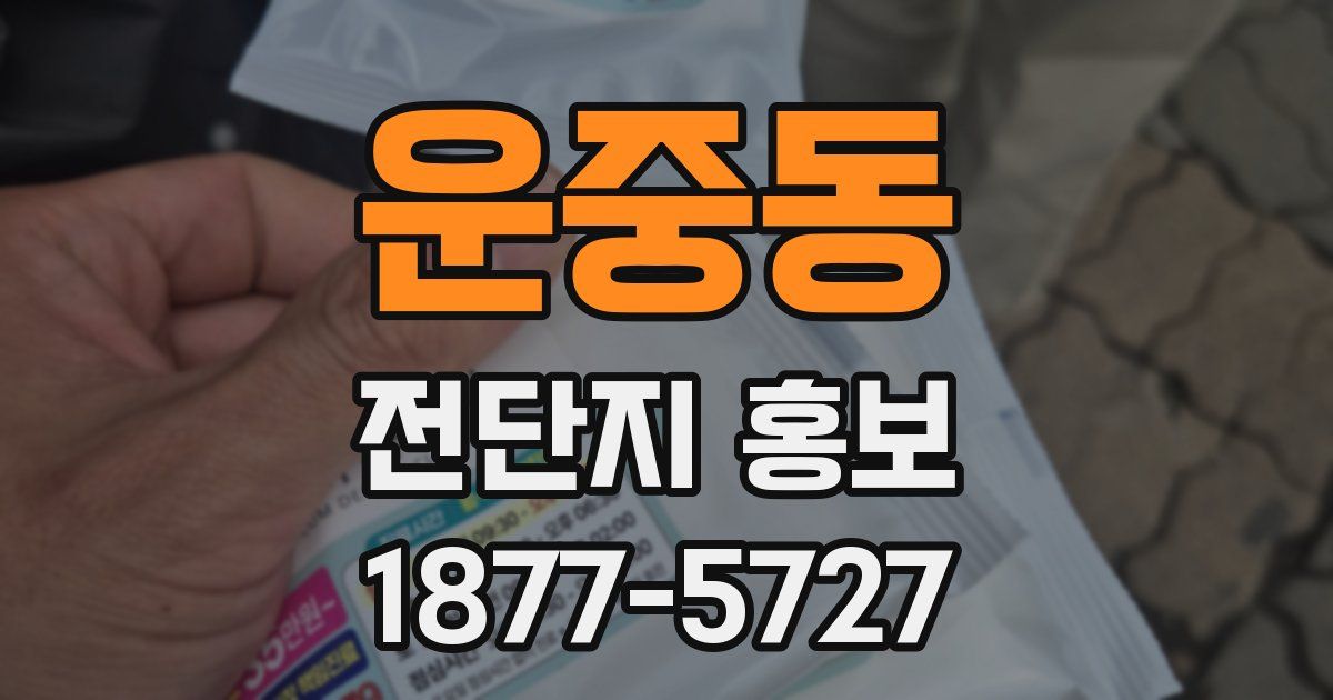 운중동 전단지 홍보