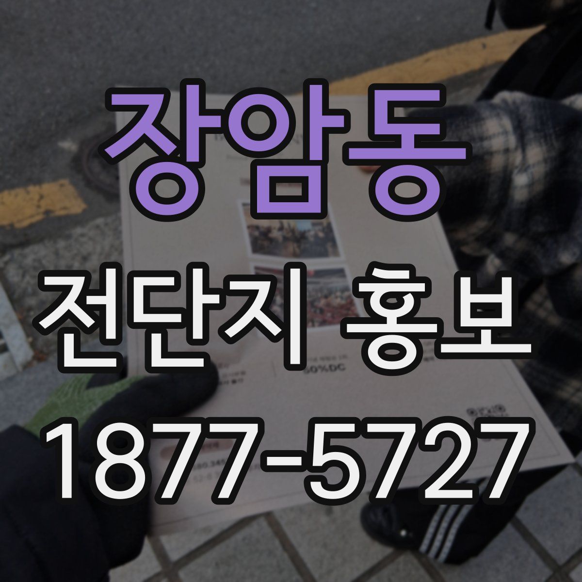 장암동 전단지 홍보