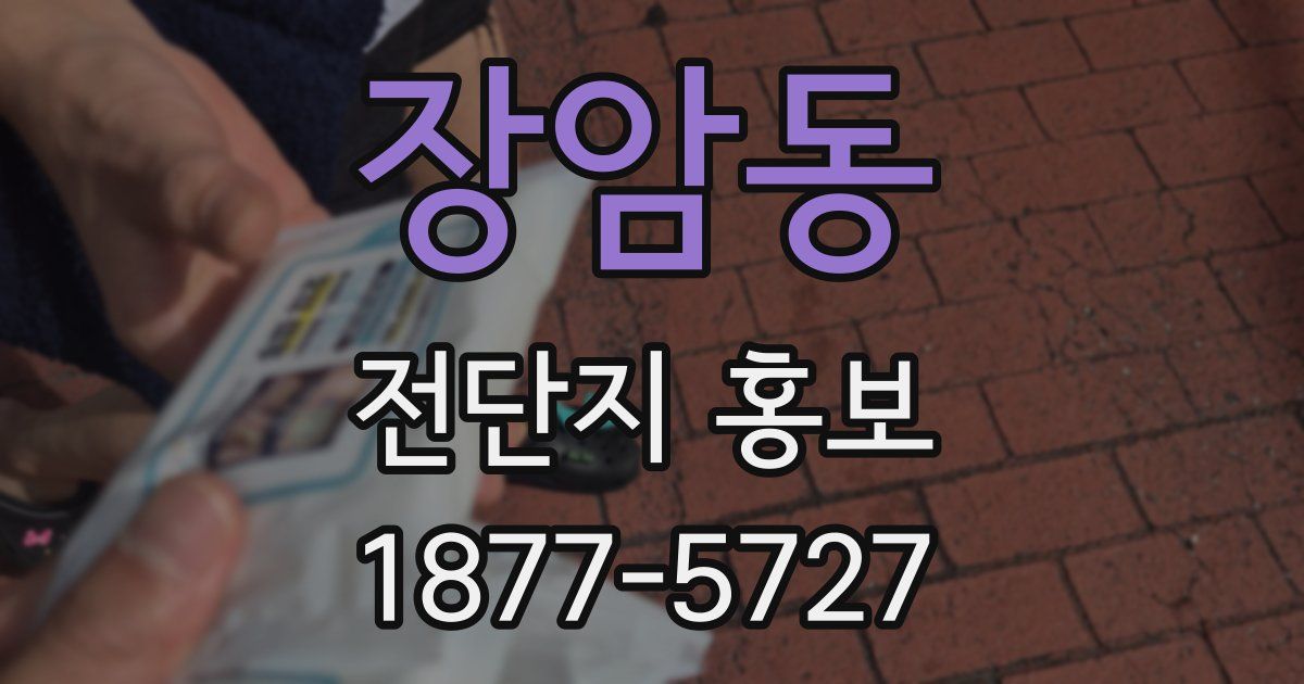 장암동 전단지 홍보