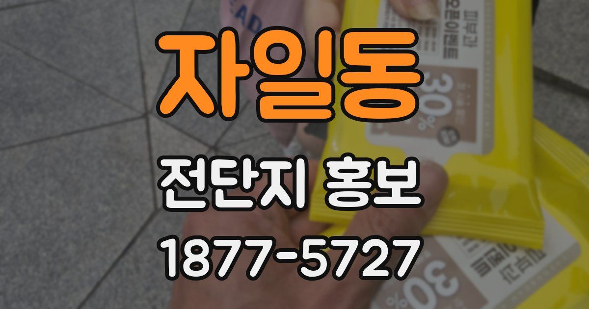 자일동 전단지 홍보