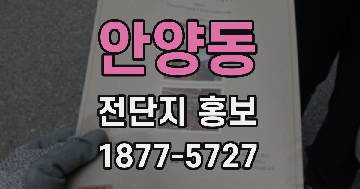 안양동 전단지 홍보