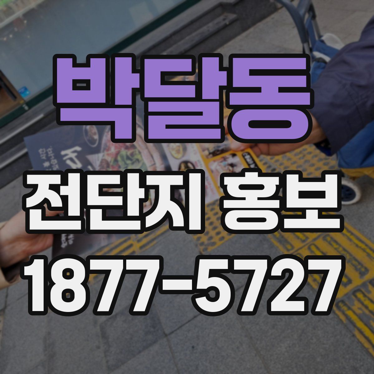 박달동 전단지 홍보
