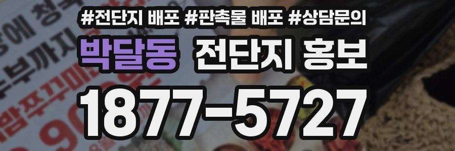 박달동 전단지 홍보