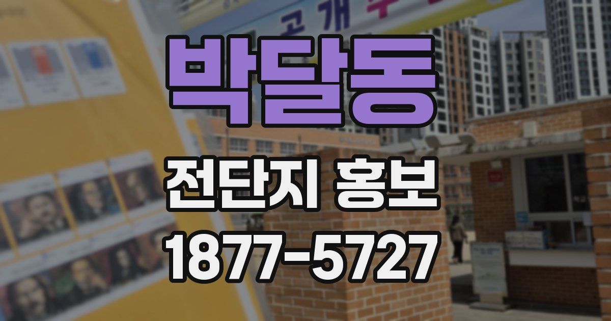 박달동 전단지 홍보