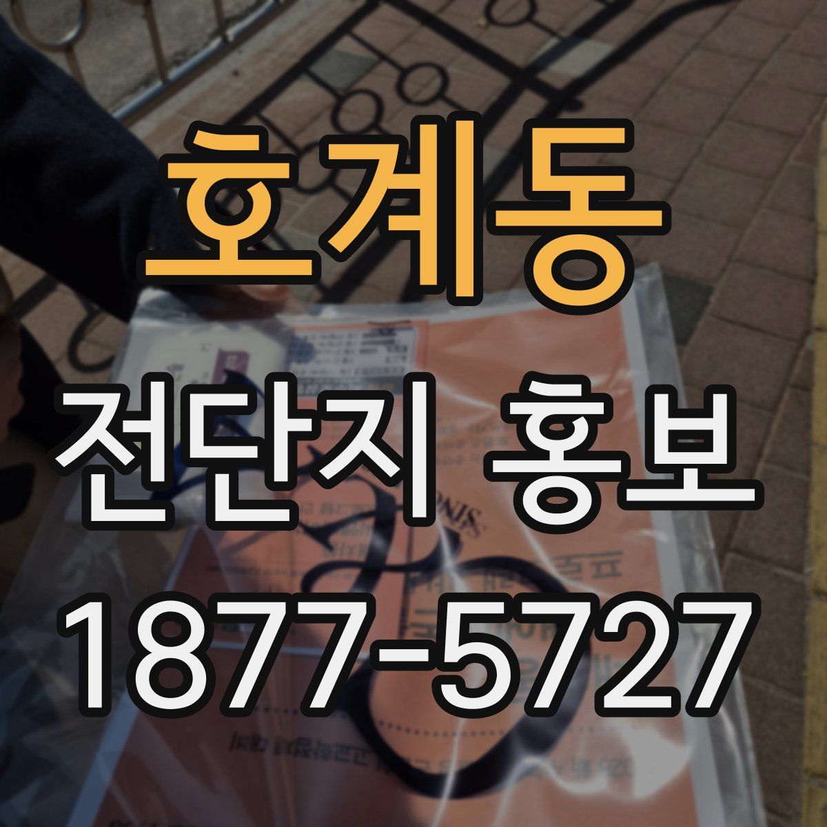 호계동 전단지 홍보