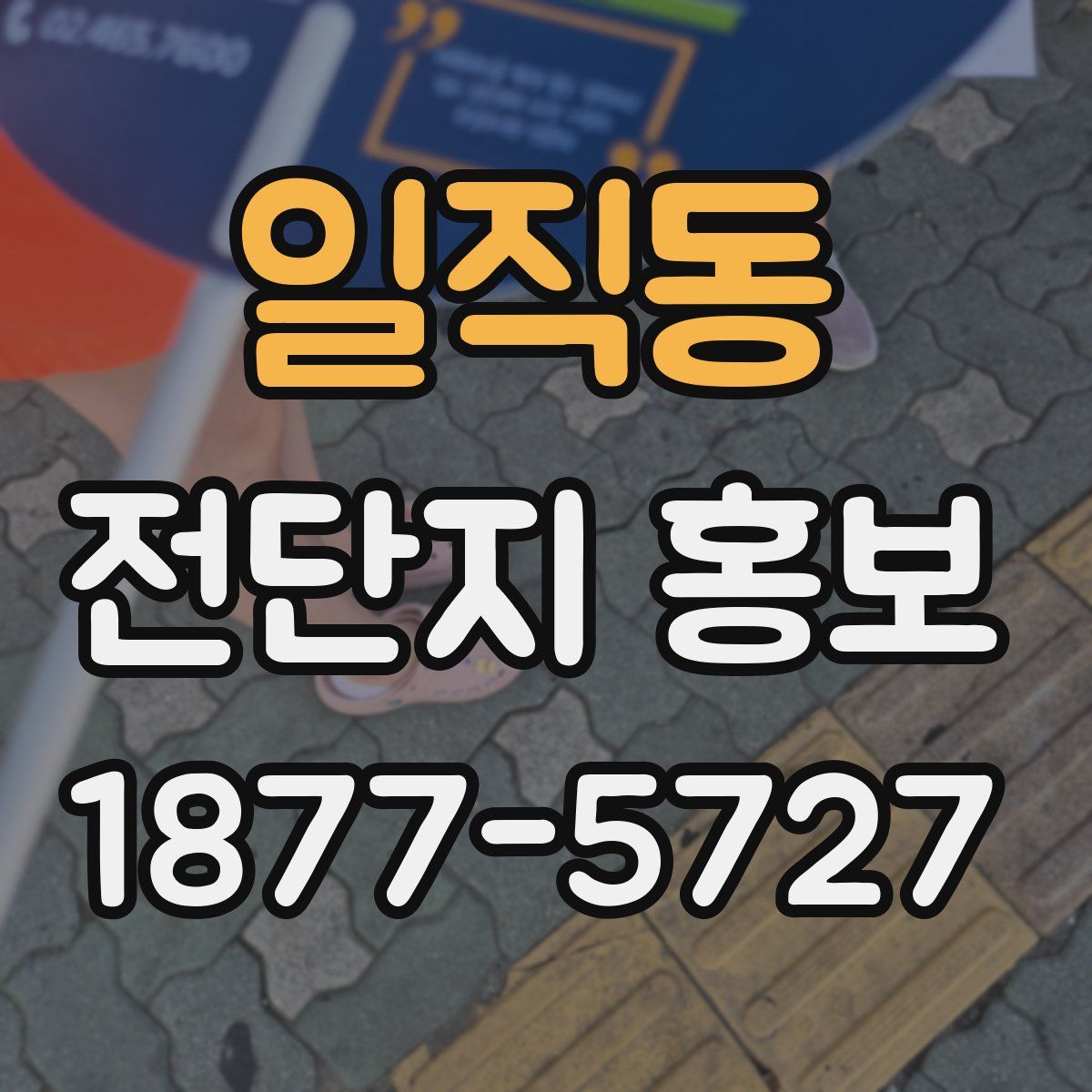 일직동 전단지 홍보