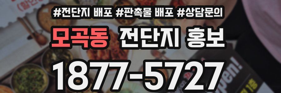 모곡동 전단지 홍보