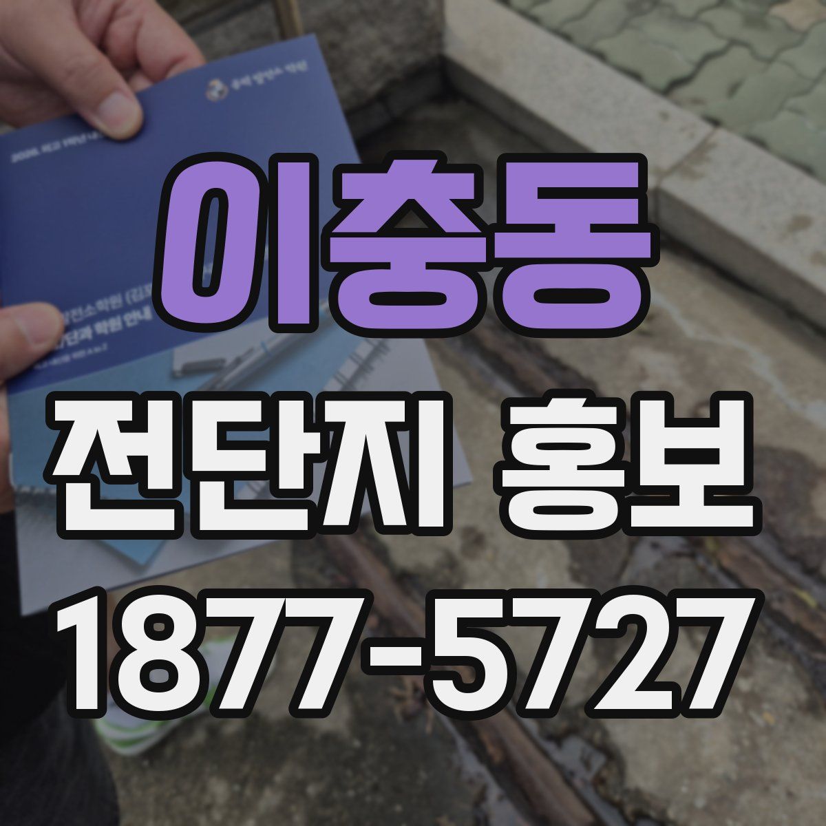 이충동 전단지 홍보