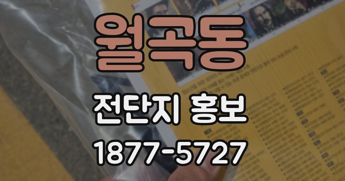 월곡동 전단지 홍보
