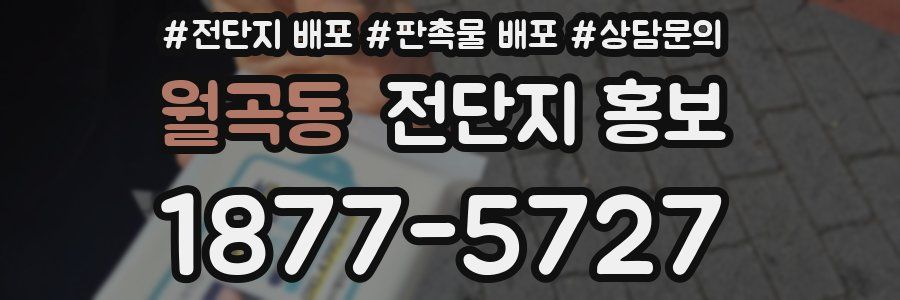 월곡동 전단지 홍보