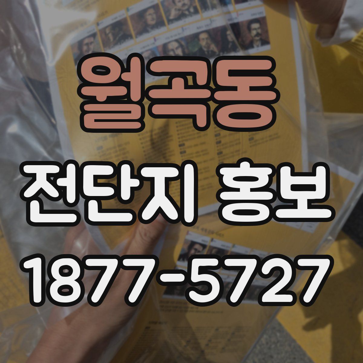 월곡동 전단지 홍보